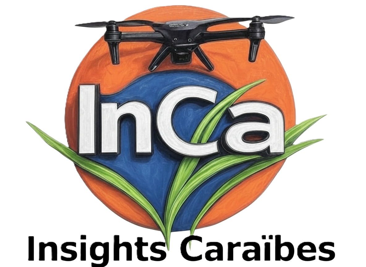 Insights Caraïbes